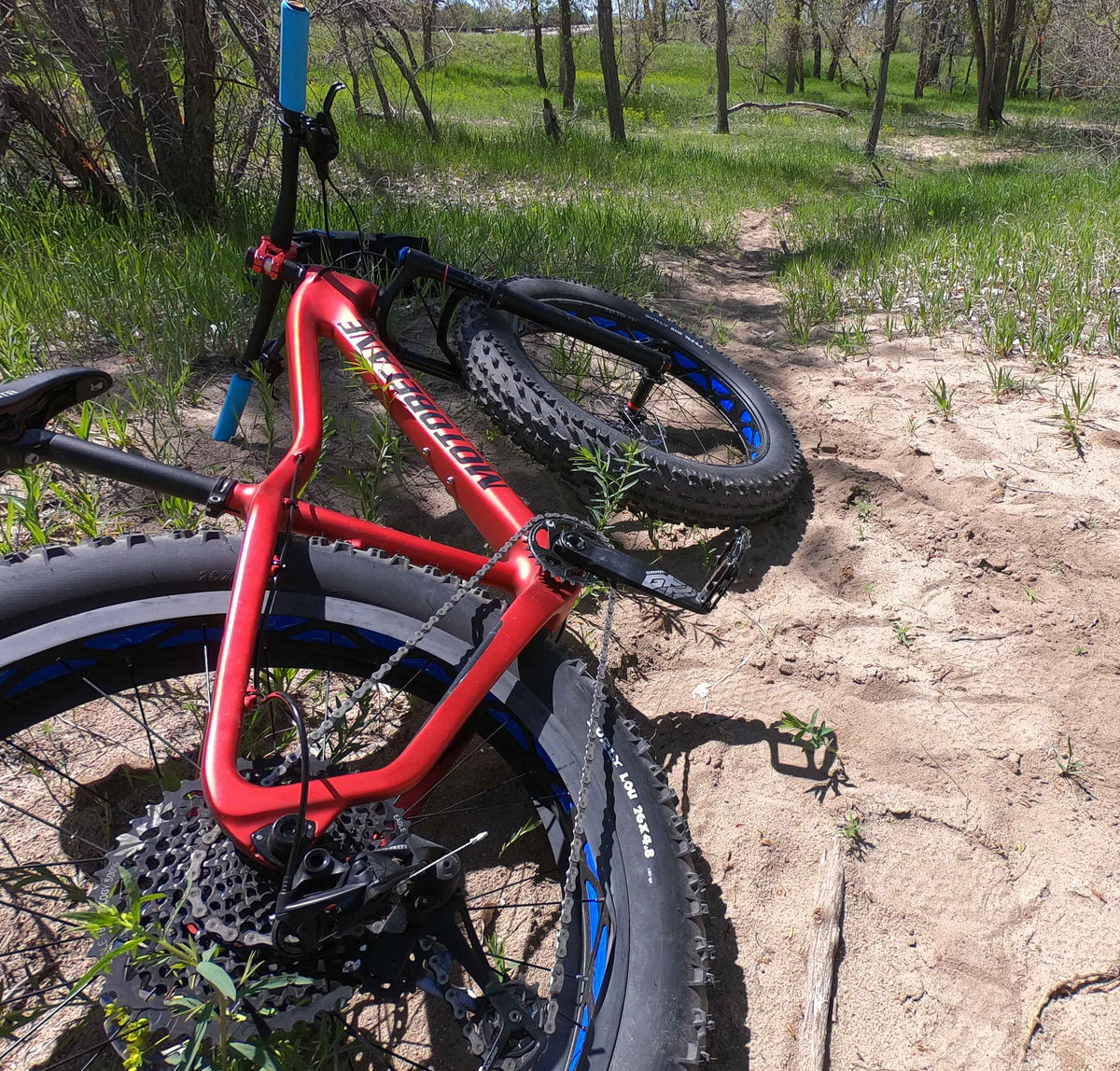 Fat bike in store summer