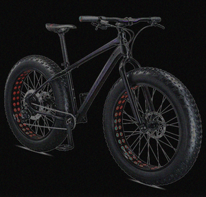 Buying Your First "Real" Fat Bike: The Mongoose Argus Sport, Your Gateway to a Real Deal Fat Bike