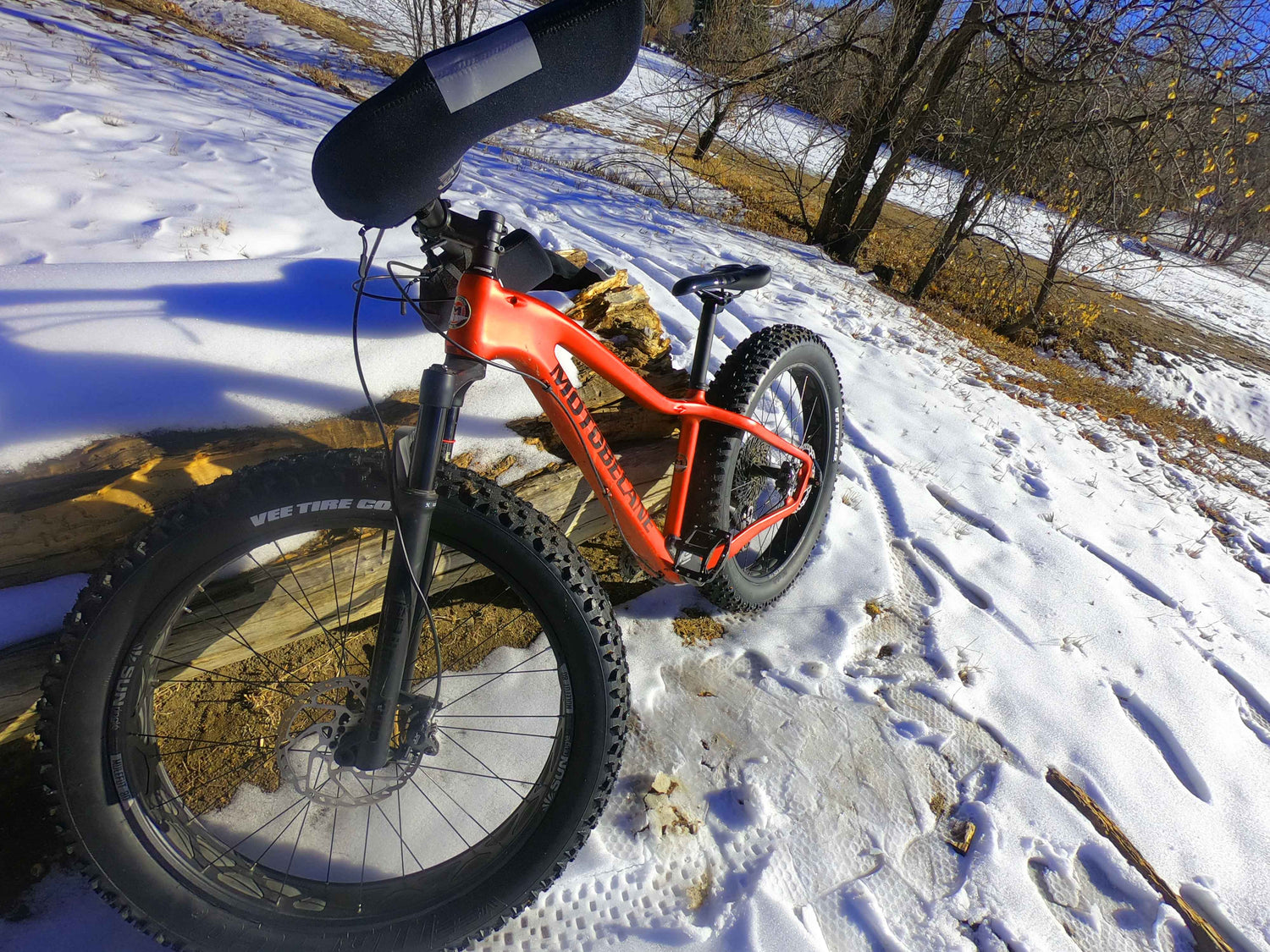 fat biking on single track trail